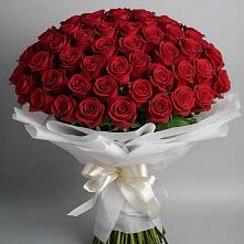 Букет 101 Красная роза Блэк Мэджик в Рылеево