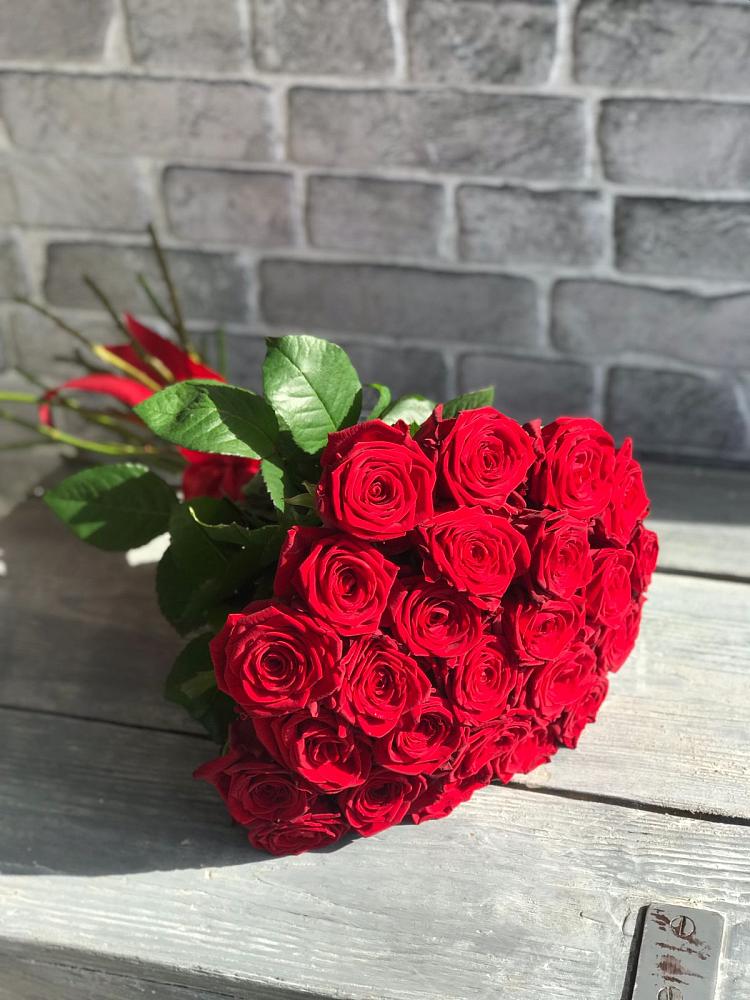 Букет Красные розы Фридом в Рылеево