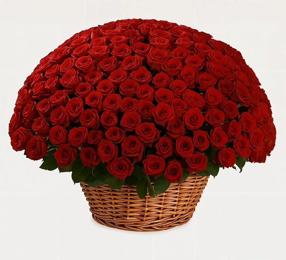 Премиум букет из: Розы в Рылеево