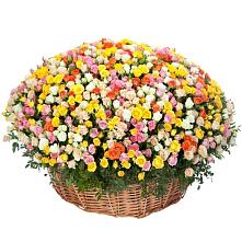 Премиум букет из: Розы #REPLACE_PRED# Рылеево