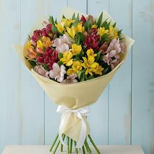 Букет цветов из:  Альстромерии в Рылеево