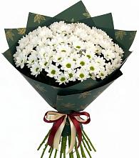 Букет цветов из:  Хризантемы в Рылеево