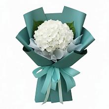 Букет цветов из:  Гортензия в Рылеево